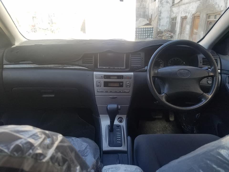 کونى-فلډر-دويش-کاټ