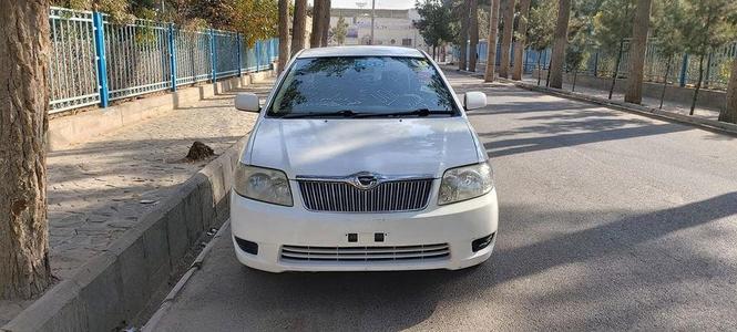 فقط فروش عاجل مالچه نمیشود