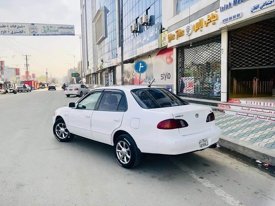 فروش-و-مالچه-0787469061