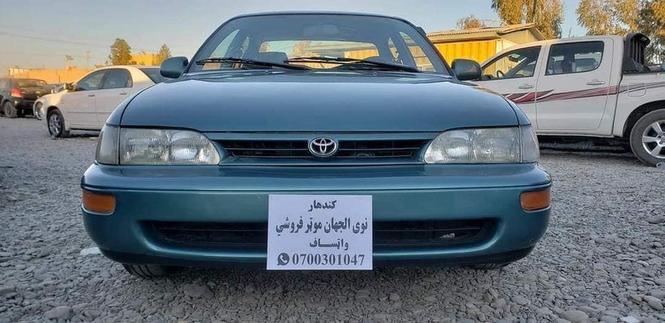 0704974244