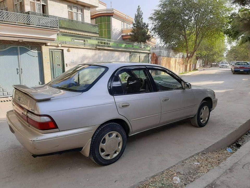 -کرولای-کانادایی-