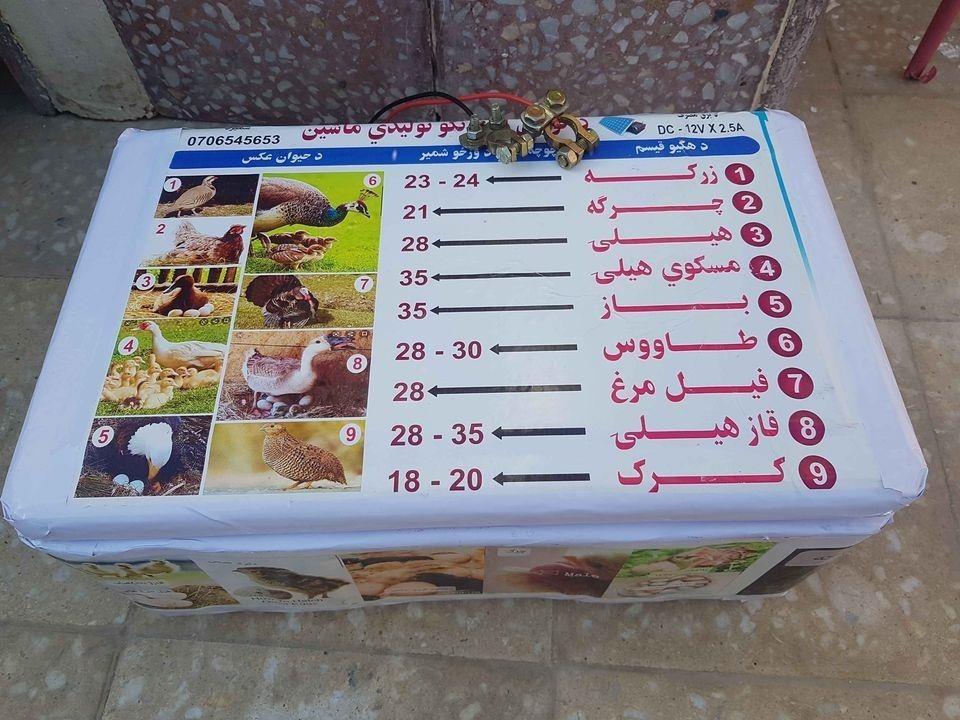 چوچه-ګیری-ماشین-0706545653