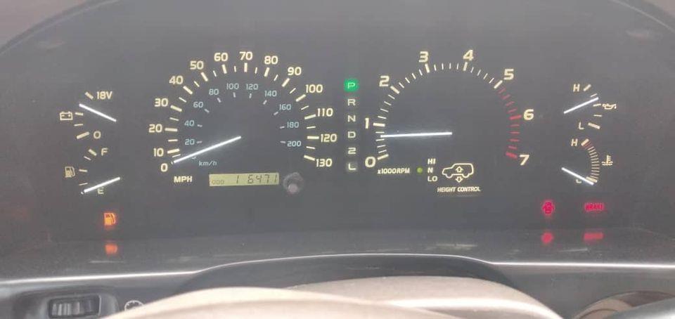 لکسس-فروشی-و-مالچه-ایی