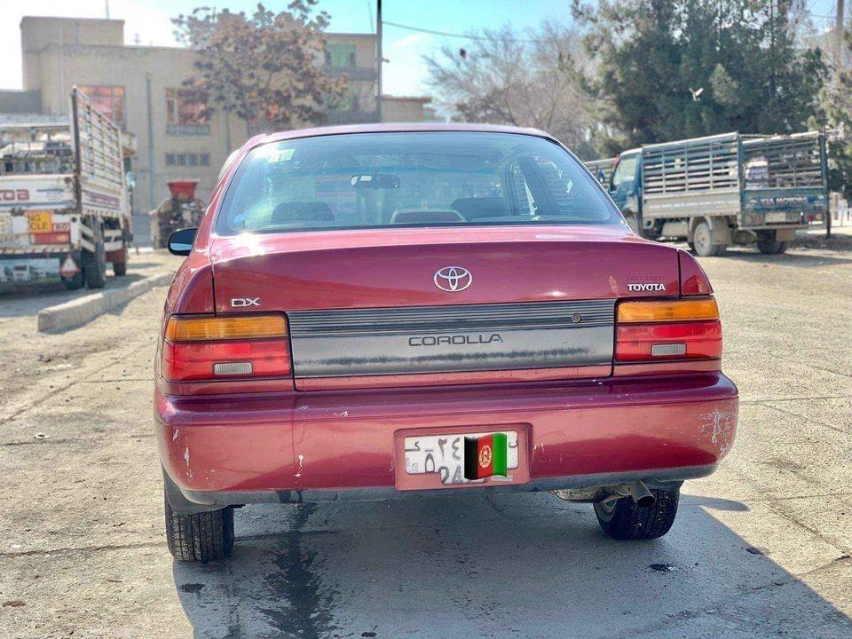 کرولایی-کانادایی