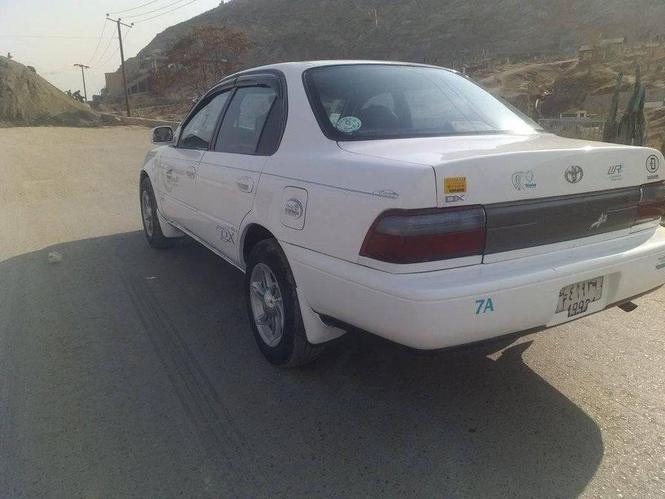 کرولا کانادایی