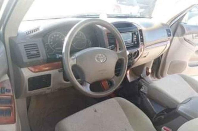 پارادو برای فروش