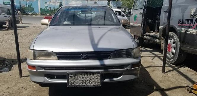 کرولای خانگی