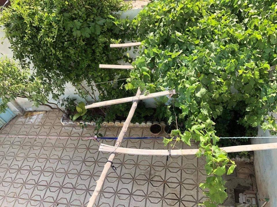 فروش-خانه