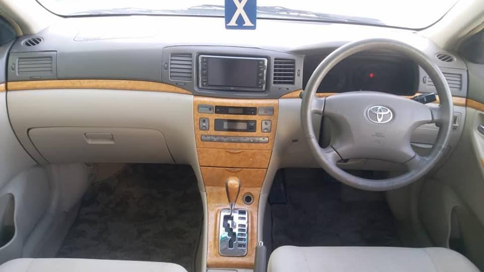 0703007279