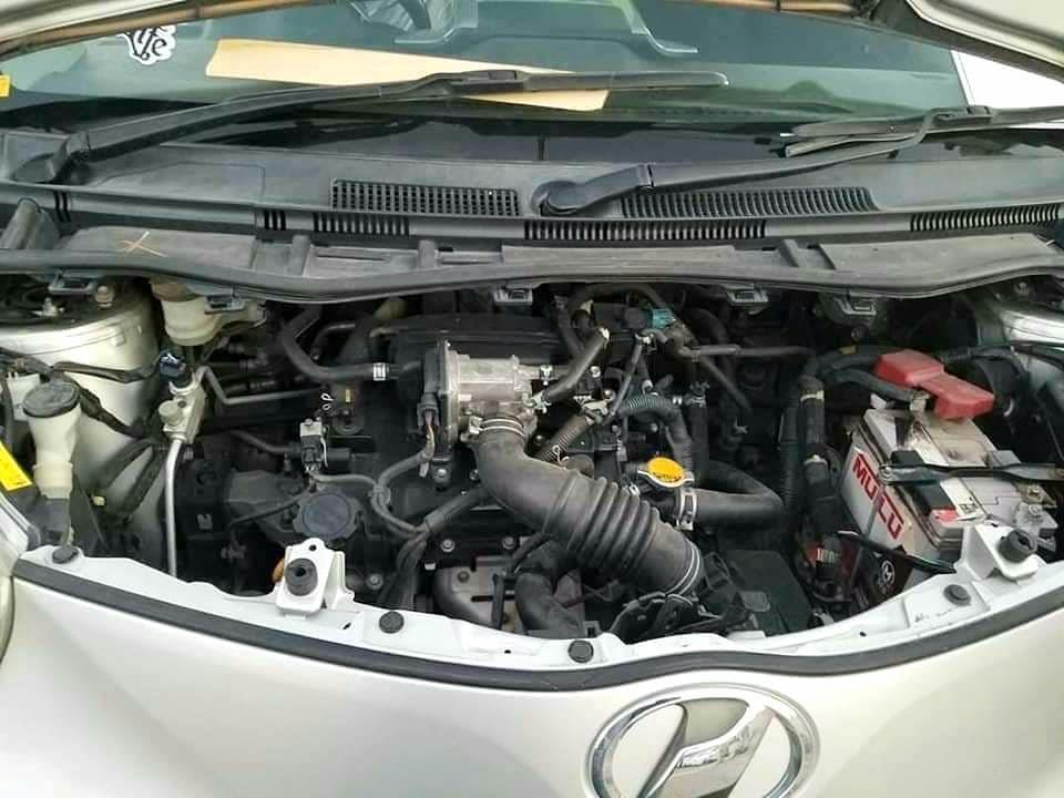 -ده-خرس-موتر-