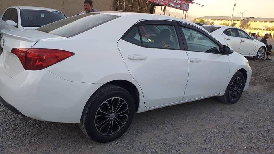 ټوډی-کاناډایی