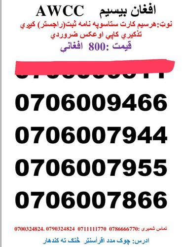 تماس شمیری: 0786666770 0711111770 وتسف نمبر : Whatsa