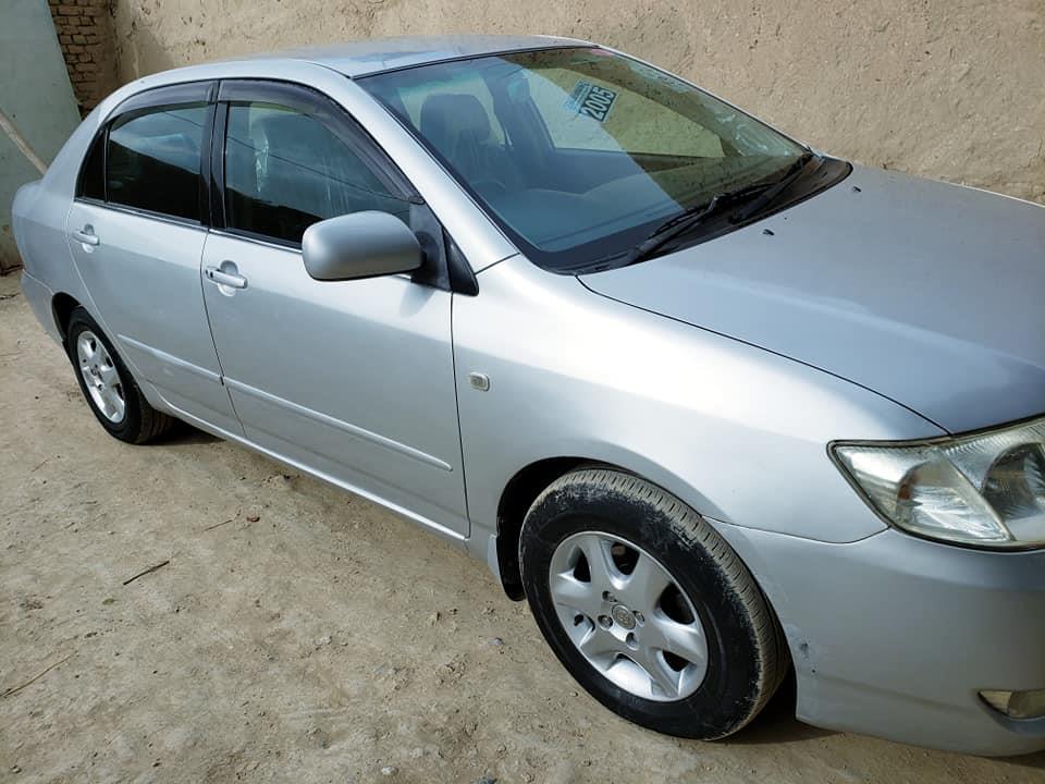 2005-لوکسل-روغ