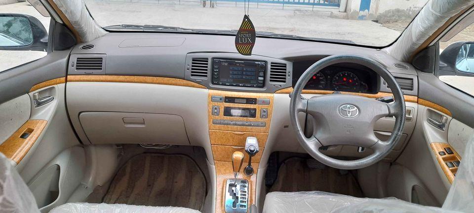 واتسیف-0700066218