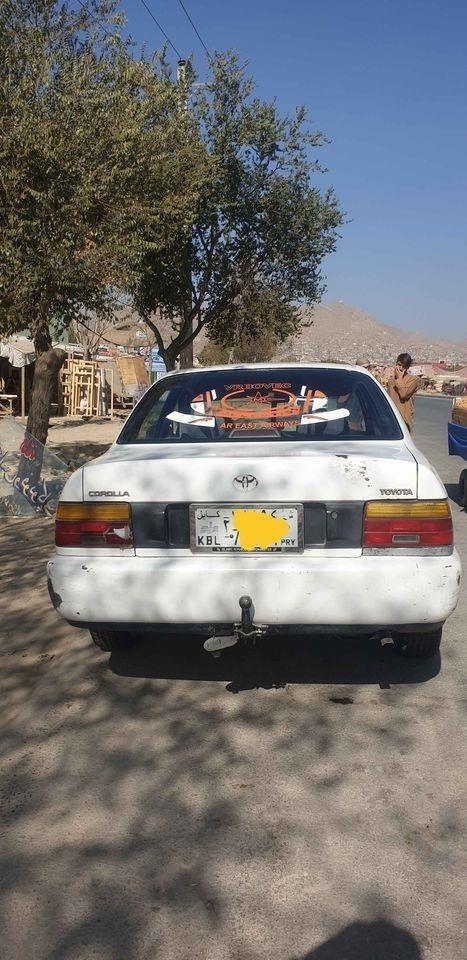 موتر
