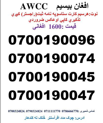 تماس شمیری: 0786666770 0711111770 وتسف نمبر : Whatsa