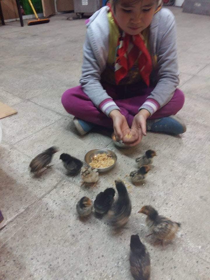 کسب-کارخانگی-درست-کنید