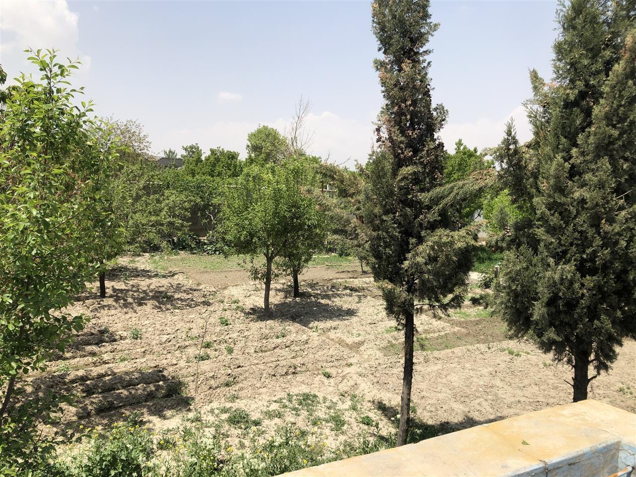 زمین-فروشی---باغ-فروشی--