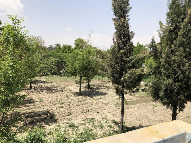 زمین فروشی ( باغ فروشی )