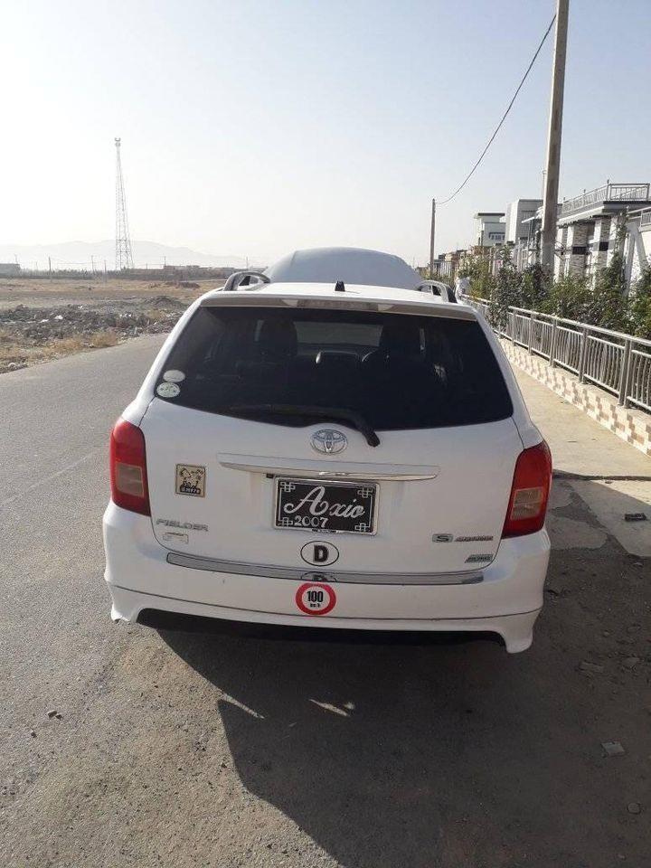 ايګزيو-فيلډر-روغ