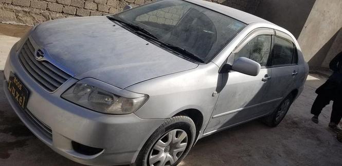 لوکسل فروتین رنــک سلور ماډل 2005