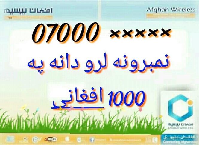ښايسته او ارزانه نمبرونه. کولایسی په هر ولايت کی يی ترلاسه ک