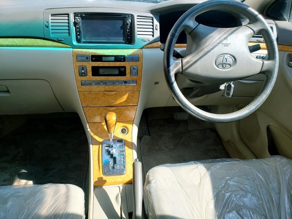 2005-لوکسل-روغ