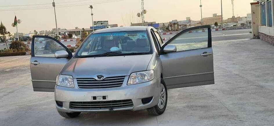 G-توډی-2005-روغ