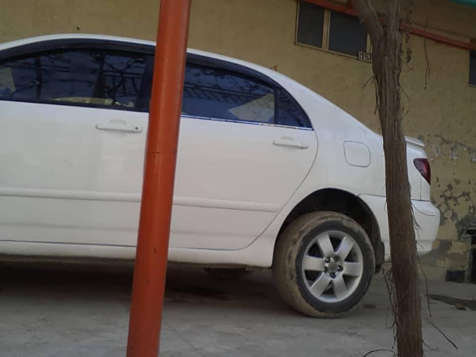 فروش-و-مالچه