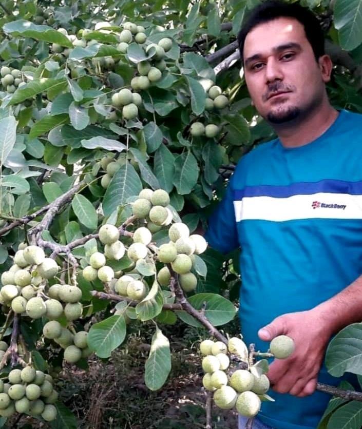 فروش-انواع-نهال-های-درجه-یک-و-تضمینی