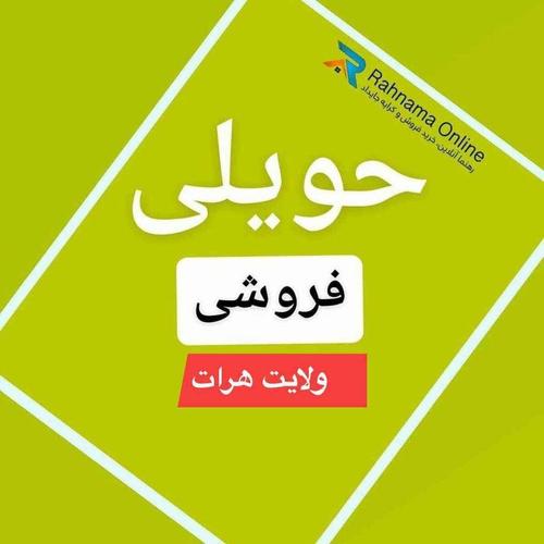 ولایت هرات / ناحیه هشت / قول اردو / جاده مکتب امیر علی شیرن