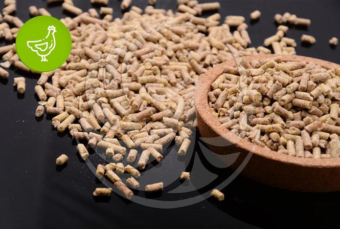 فروش دان مرغ گوشتی و تخمگذار