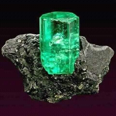 واقعیت ولا مسج وکړی
