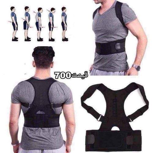 کمربند و شانه بند های رویال پاستر