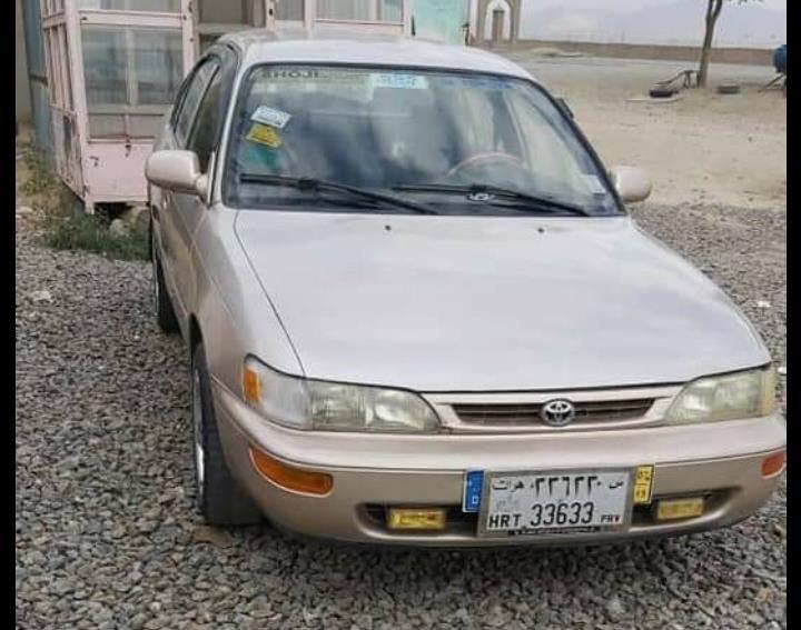 کرولای-کانادایی