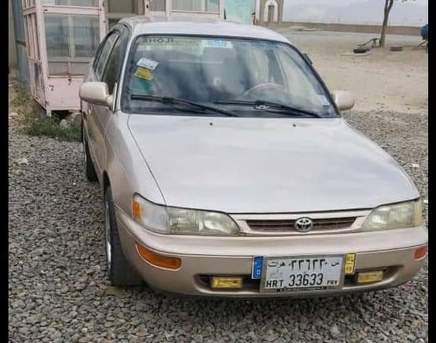 کرولای کانادایی