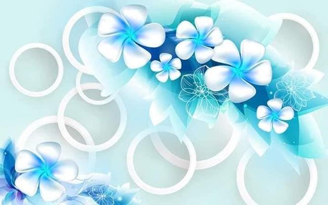 دلته هرډول سلینګ چتونه اووالپیپردیوالونه ستاسو دکورنواوتعمیر