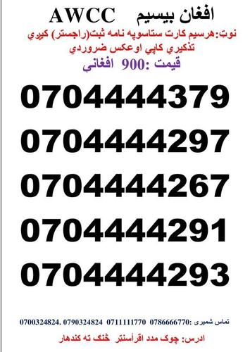 تماس شمیری: 0786666770 0711111770وتسف نمبر