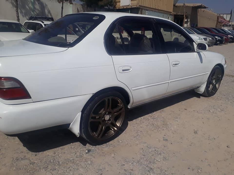 کرولا