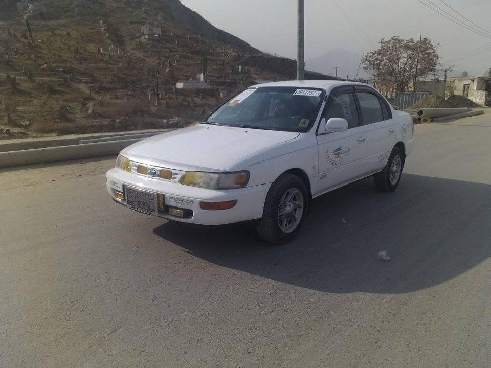 کرولا-کانادایی