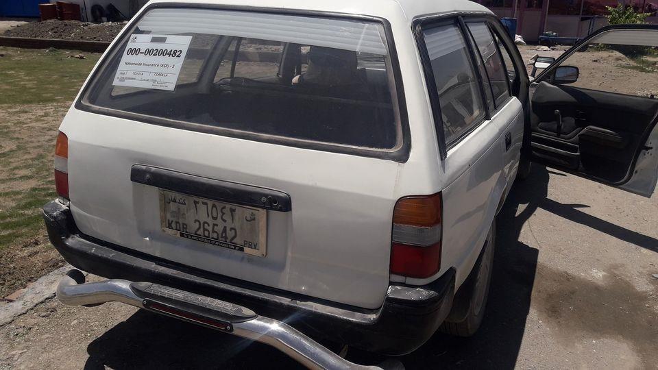 Saracha-Japani-Model-91