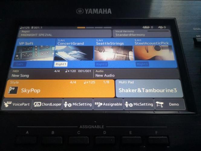 Yamaha PSR-SX900 Digital Workstation 61-Key Organ