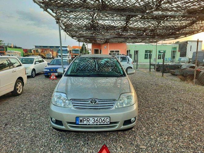 فروش عاجل فلدر جرمنی چت کت شده در جرمنی گمرک شده مکتوب سر ک