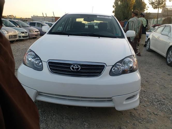 کاناډایی ټوډی