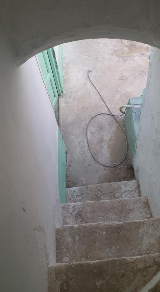د-خرس-کور-0700370281-00707580709