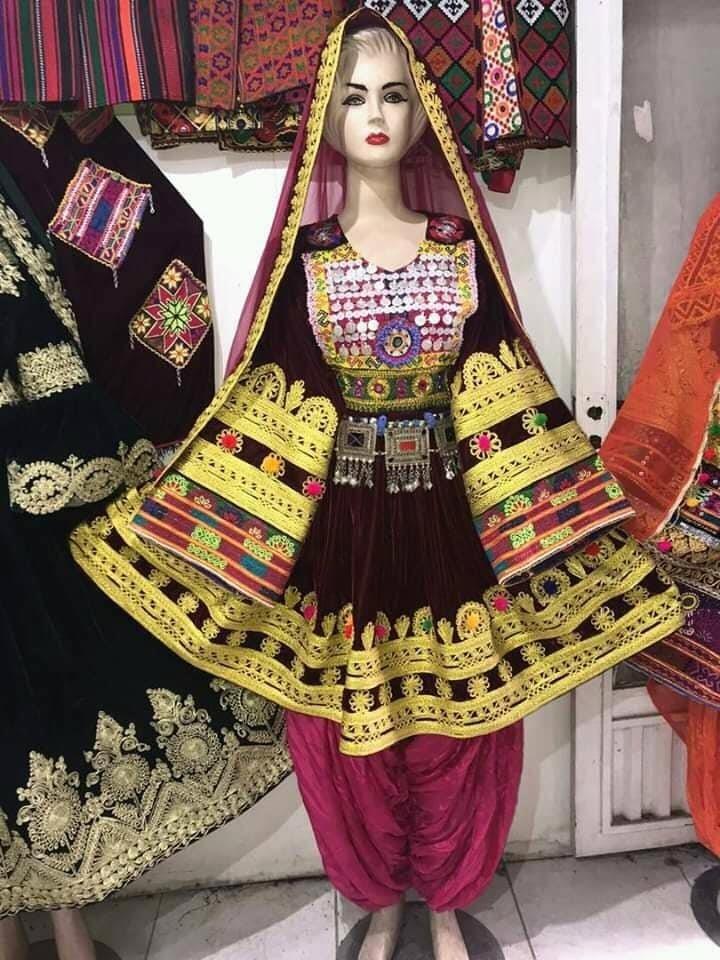 گندهای-افغانی-کوچی