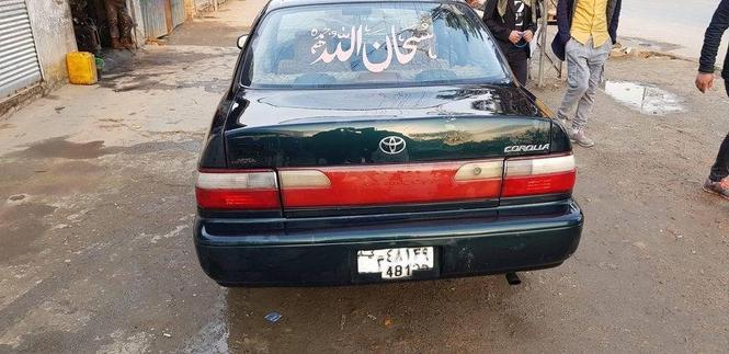 فروش و مالچه کرولا کانادایی