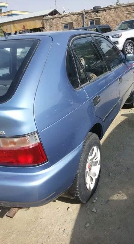 corolla