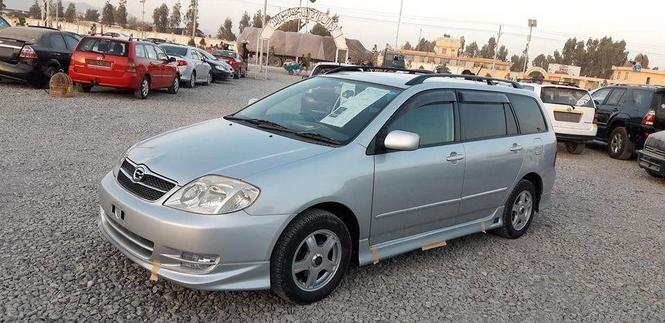 روغ ناوریده