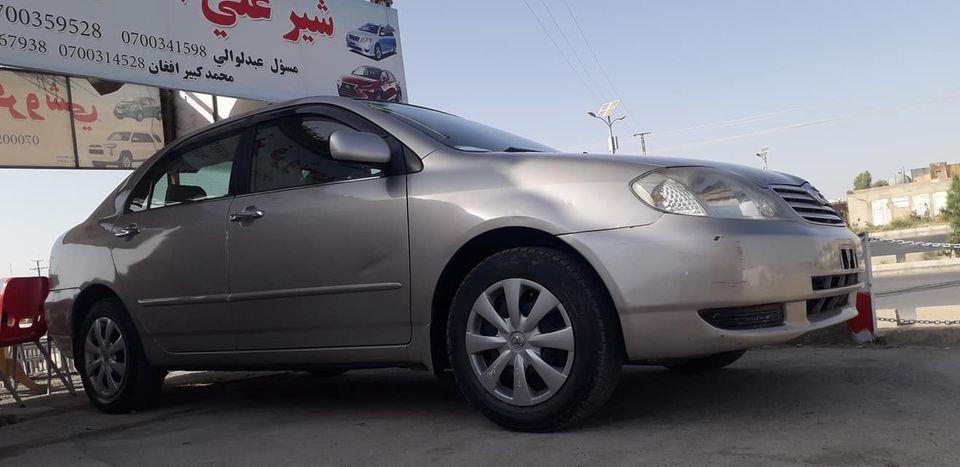 لوکسل-ګولدن-2003-روغه